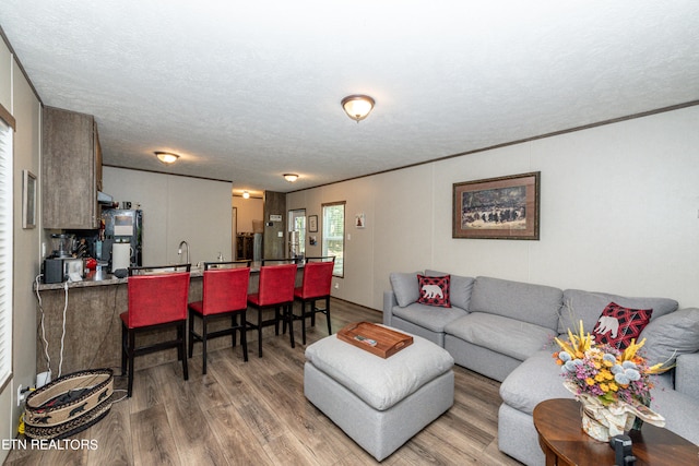 living room featuring wood-type flooring and a textured ceiling