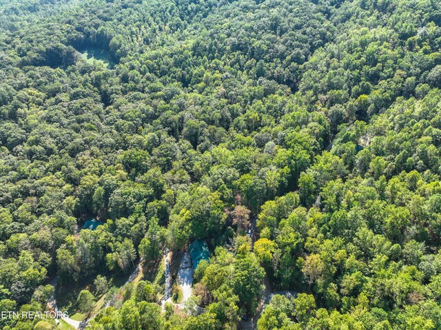 1007 Old Cades Cove Rd, Townsend, TN 37882 - photo 3