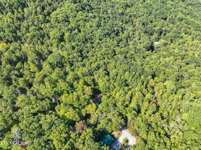 1007 Old Cades Cove Rd, Townsend, TN 37882 - photo 34