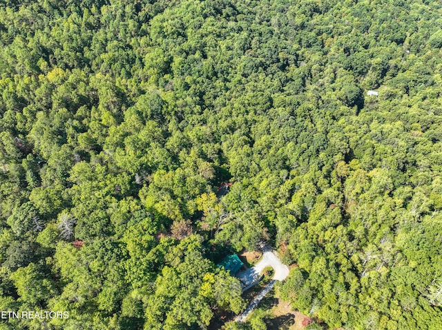 1007 Old Cades Cove Rd, Townsend, TN 37882 - photo 36