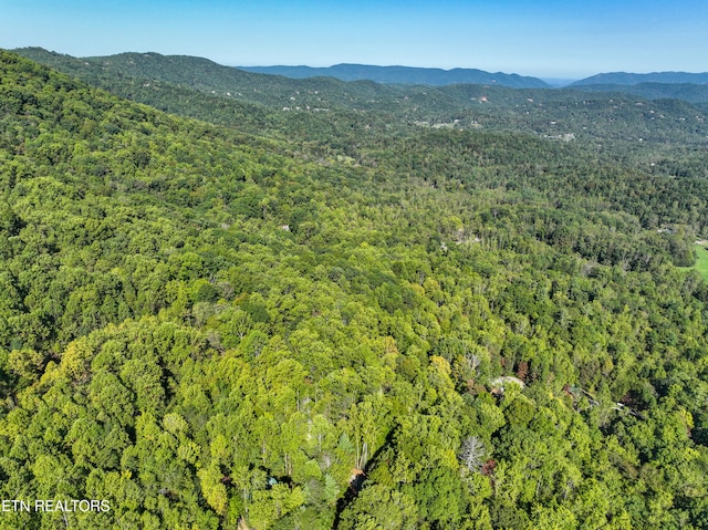 bird's eye view with a mountain view