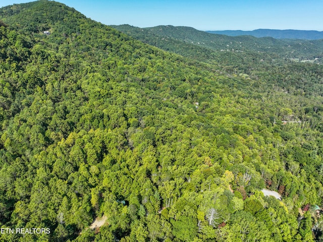 property view of mountains