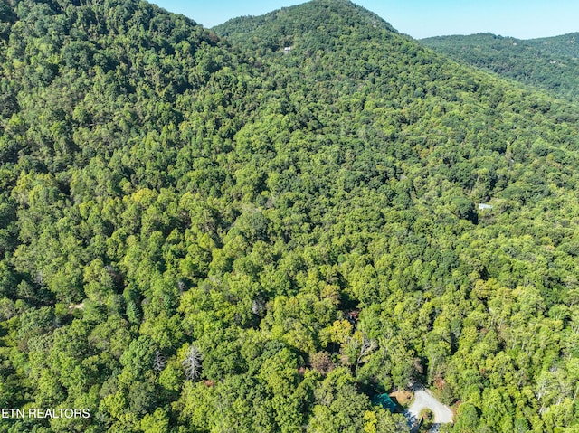 view of mountain feature