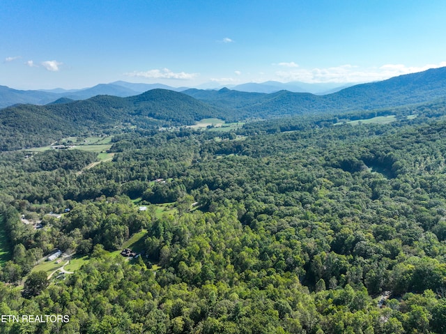 property view of mountains