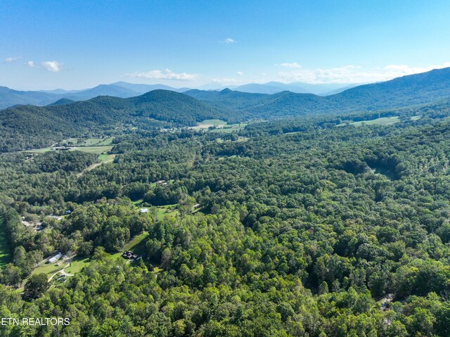 1007 Old Cades Cove Rd, Townsend, TN 37882 - photo 37