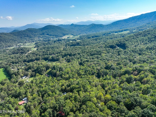 1007 Old Cades Cove Rd, Townsend, TN 37882 - photo 4