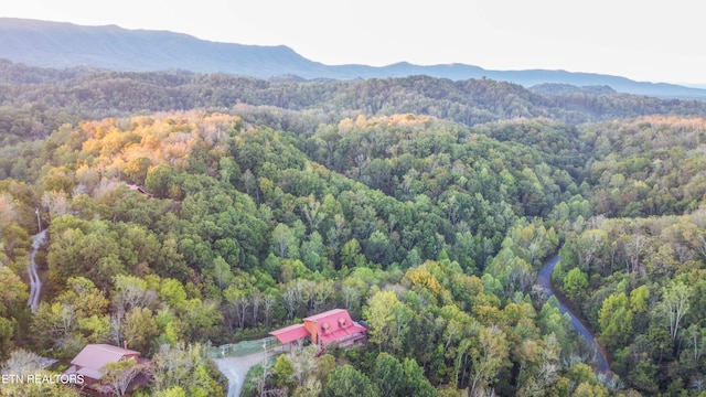 drone / aerial view with a mountain view