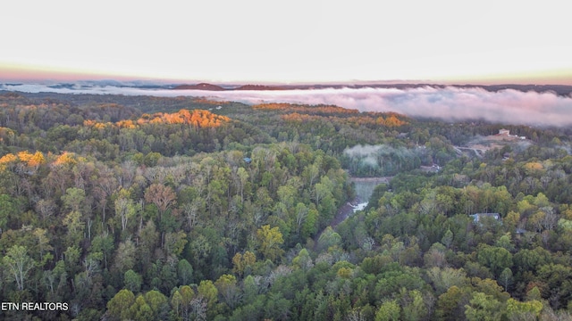 view of aerial view at dusk