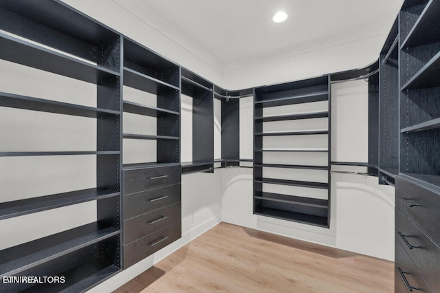 walk in closet with light hardwood / wood-style flooring