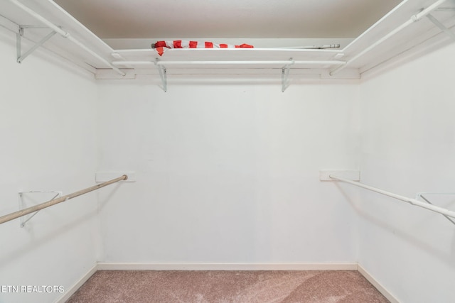 spacious closet with carpet flooring