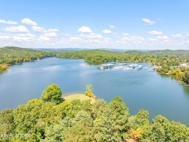 drone / aerial view featuring a water view