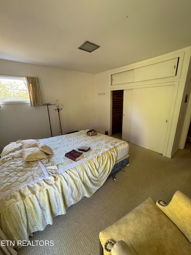 carpeted bedroom featuring a closet