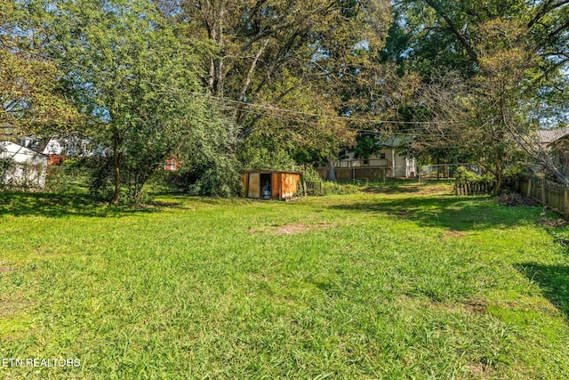 view of yard with a storage unit