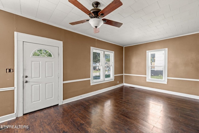 foyer entrance featuring dark hardwood / wood-style flooring and a healthy amount of sunlight