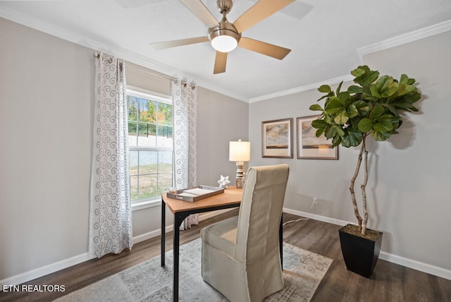 office featuring a wealth of natural light, crown molding, and dark hardwood / wood-style flooring