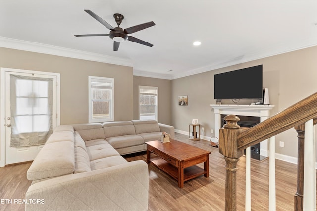 living room featuring light hardwood / wood-style floors, crown molding, and ceiling fan