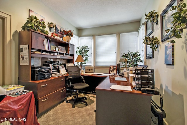 office featuring a textured ceiling, carpet, and a healthy amount of sunlight