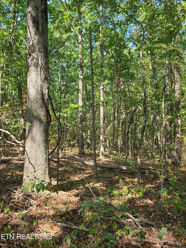 LOT3 Westwind Way, Crossville TN, 38572 land for sale