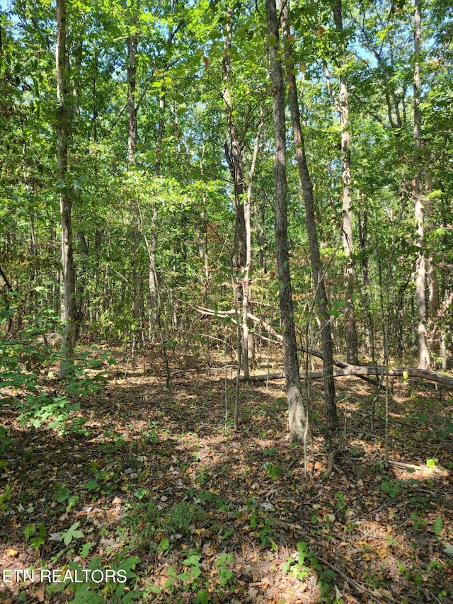 Listing photo 2 for LOT3 Westwind Way, Crossville TN 38572