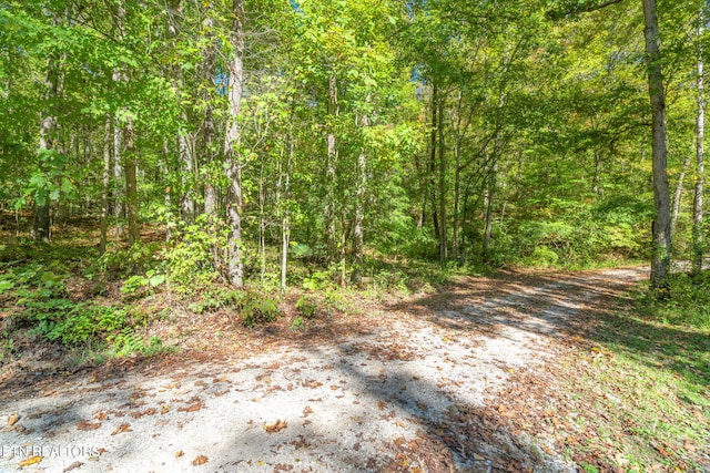 Listing photo 3 for Tunnel Hill Rd, Harriman TN 37748