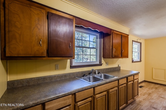 kitchen featuring light wood-type flooring, sink, and a textured ceiling