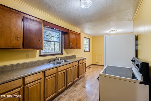 kitchen with white appliances, sink, light hardwood / wood-style floors, and a textured ceiling