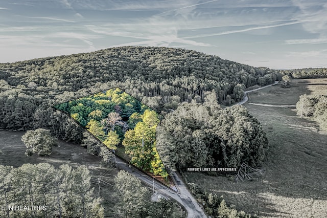 view of mountain feature