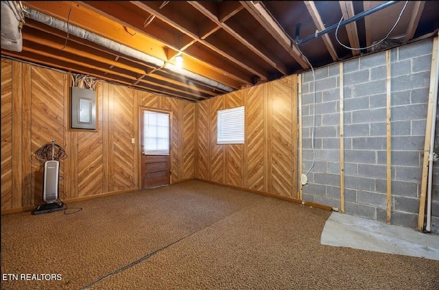 basement featuring wooden walls