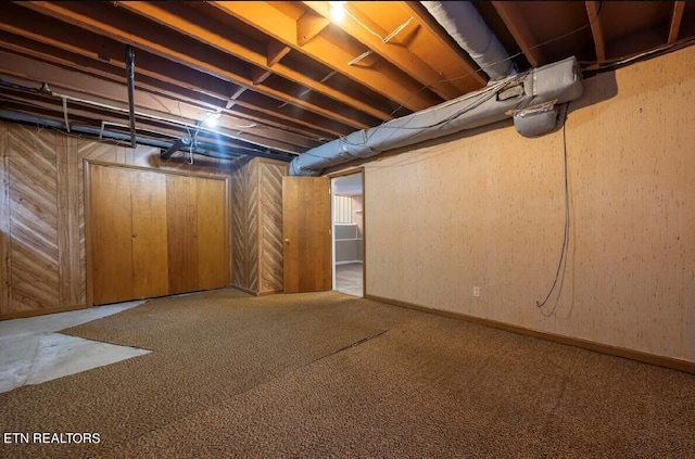 basement with wooden walls