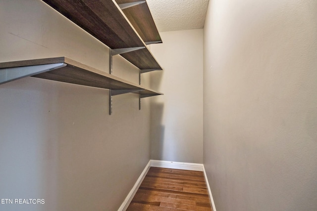 walk in closet with dark hardwood / wood-style flooring