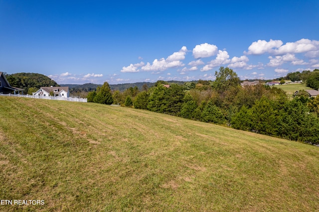 Listing photo 2 for Marble Bluff Dr, Kingston TN 37763