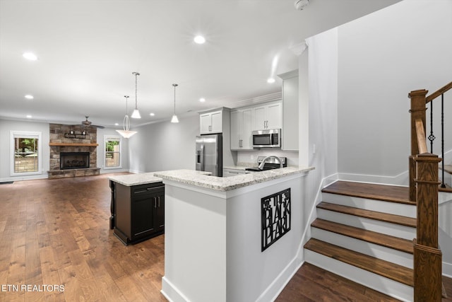 kitchen featuring pendant lighting, ornamental molding, a stone fireplace, hardwood / wood-style flooring, and stainless steel appliances