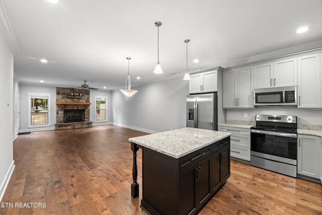 kitchen featuring ceiling fan, decorative light fixtures, hardwood / wood-style flooring, appliances with stainless steel finishes, and a fireplace