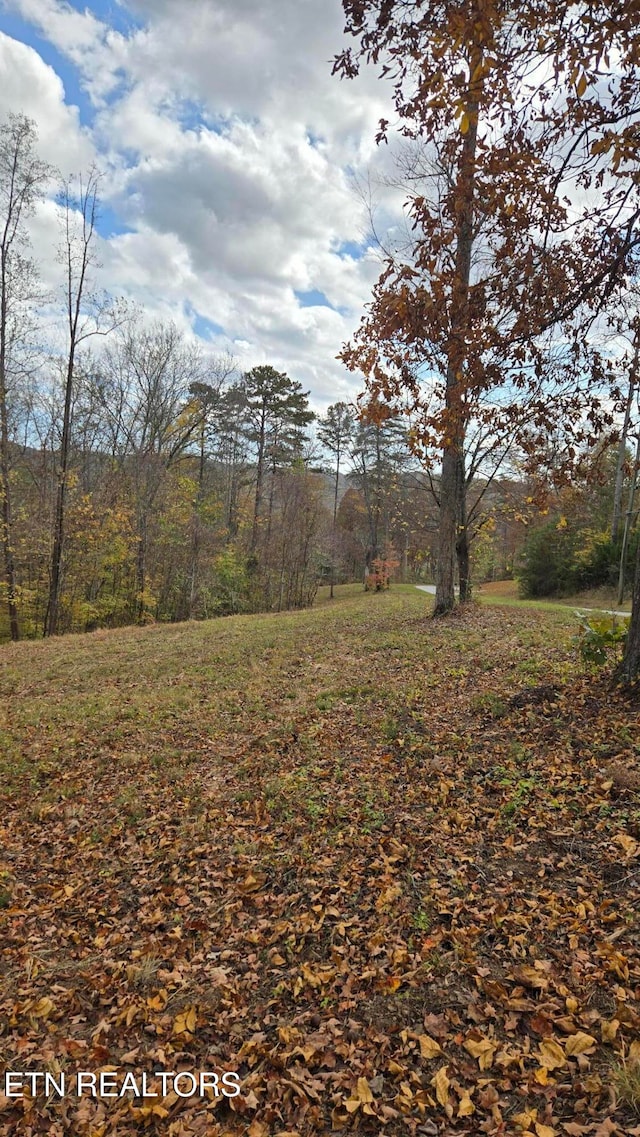 Listing photo 3 for 0 Hickory Point Ln, Maynardville TN 37807