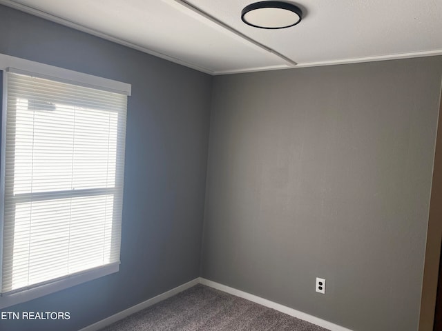 empty room featuring carpet flooring and a healthy amount of sunlight