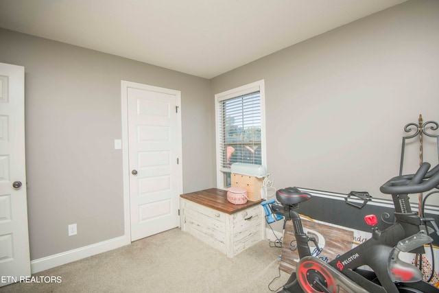 exercise room featuring carpet flooring