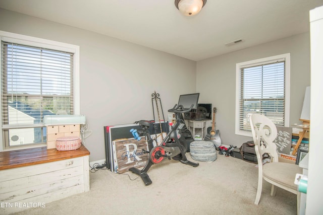 interior space featuring carpet floors