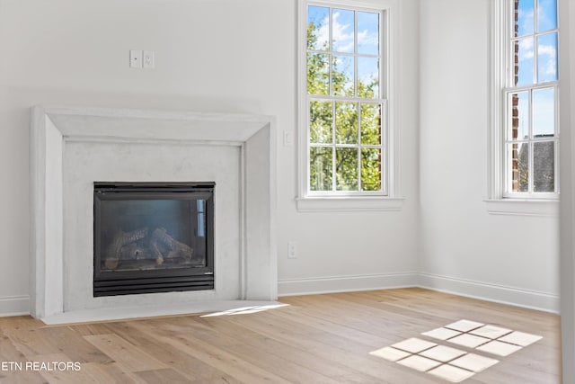 room details featuring wood-type flooring and a premium fireplace