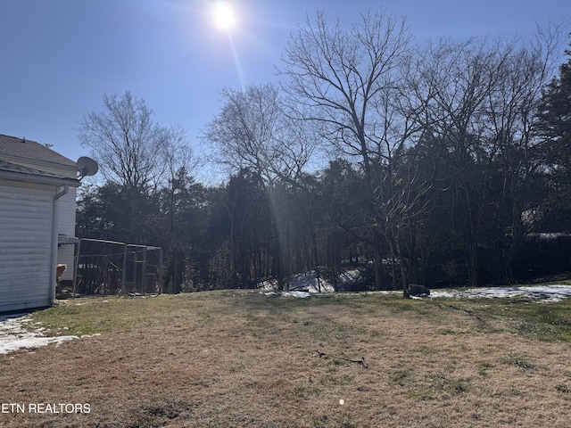 9832 Clift Rd, Strawberry Plains, TN 37871 - view of yard