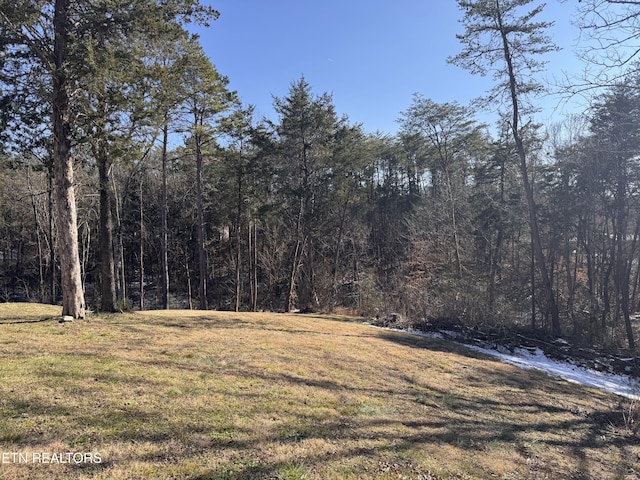 9832 Clift Rd, Strawberry Plains, TN 37871 - view of yard with a view of trees