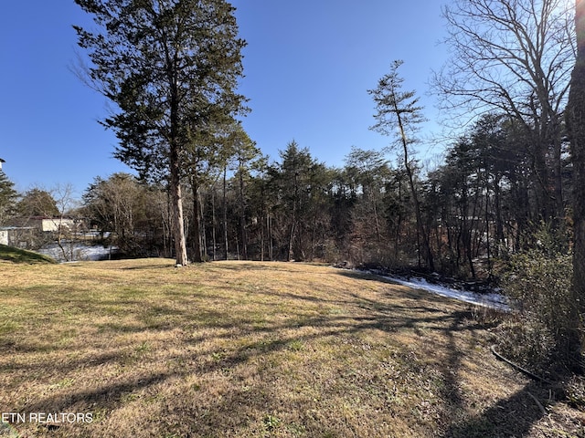 9832 Clift Rd, Strawberry Plains, TN 37871 - view of yard featuring a view of trees