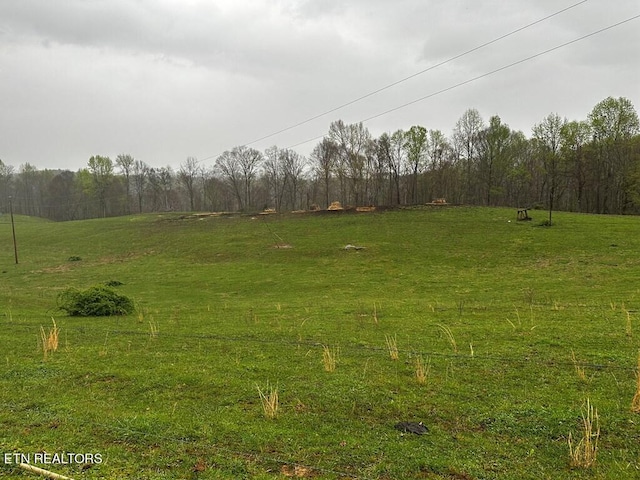 Listing photo 3 for 43AC Winningham Rd, Byrdstown TN 38549