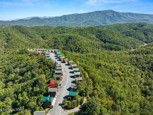 2809 White Oak Ridge Ln, Sevierville, TN 37862 - photo 49