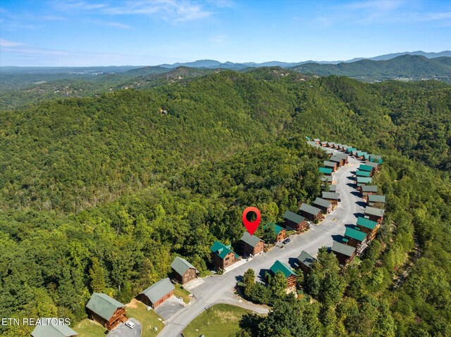 2809 White Oak Ridge Ln, Sevierville, TN 37862 - photo 50