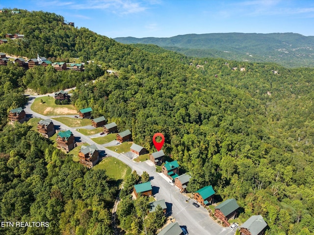 2809 White Oak Ridge Ln, Sevierville, TN 37862 - photo 52