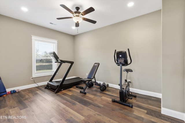 exercise area featuring ceiling fan and dark hardwood / wood-style flooring