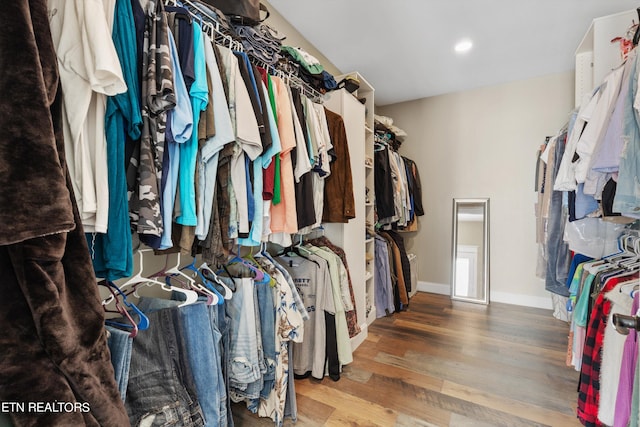 walk in closet featuring hardwood / wood-style floors