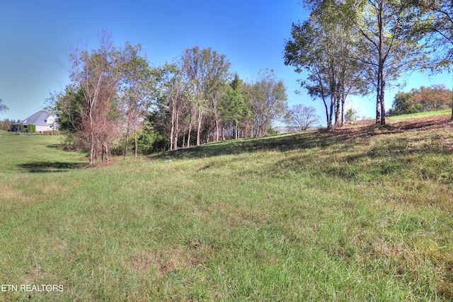 Listing photo 2 for LOT567 Russell Brothers Rd, Sharps Chapel TN 37866