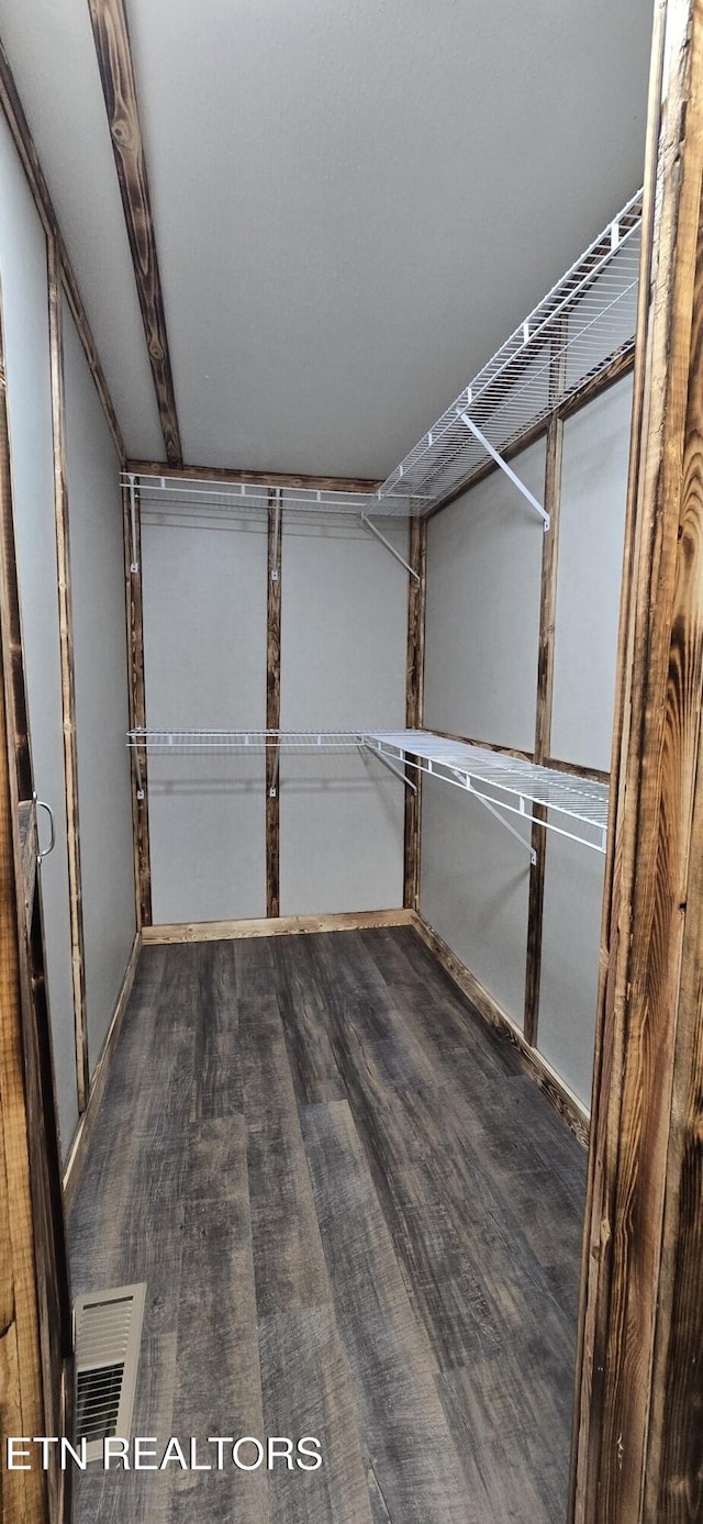 spacious closet with dark wood-type flooring