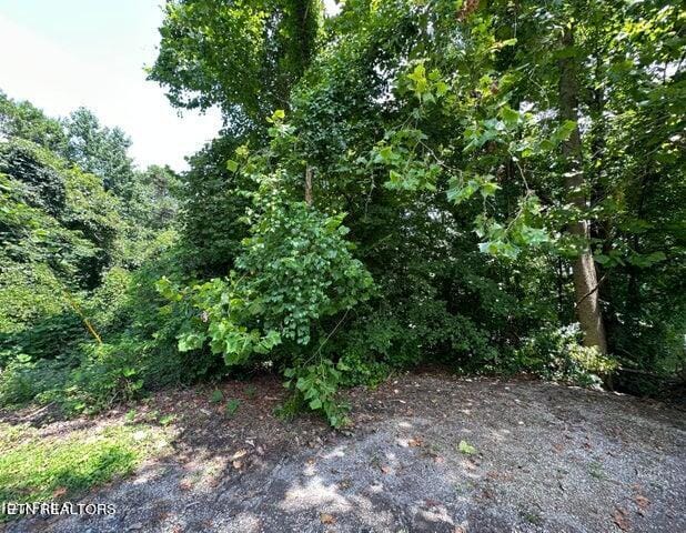 Rosemont Ln, Harriman TN, 37748 land for sale